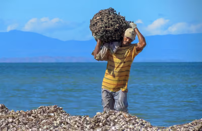 Pescador Margariteño de Pata e cabra.jpg